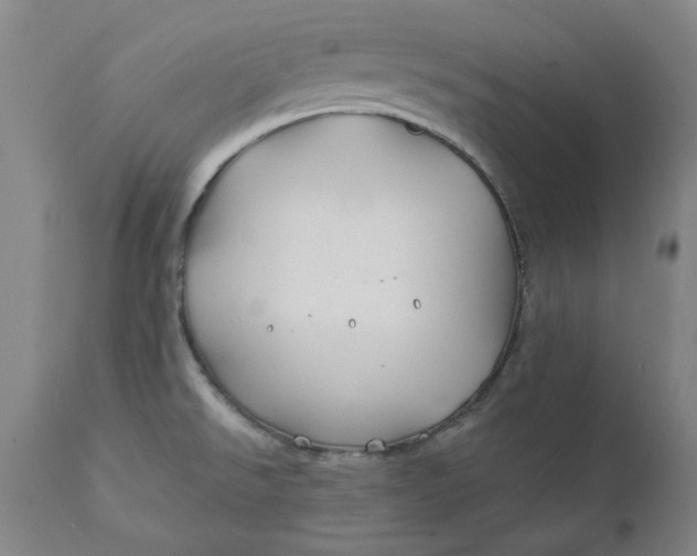 X0000111241526200907161329