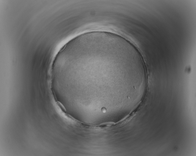 X0000111241528200907161329