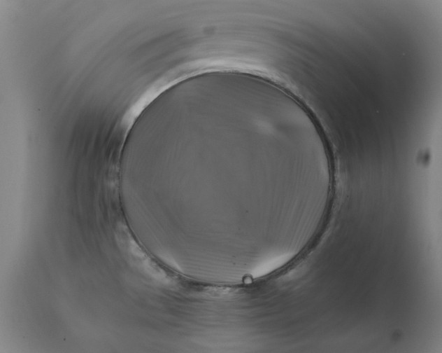 X0000111241529200907161329