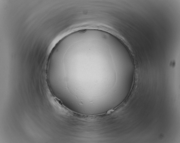 X0000111241530200907161329