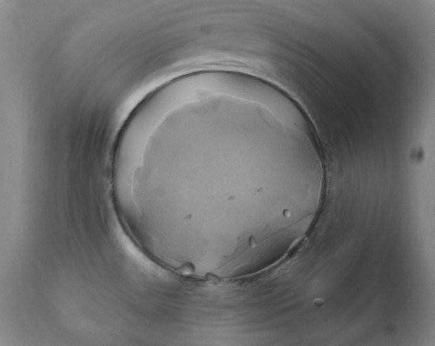 X0000111241531200907161329