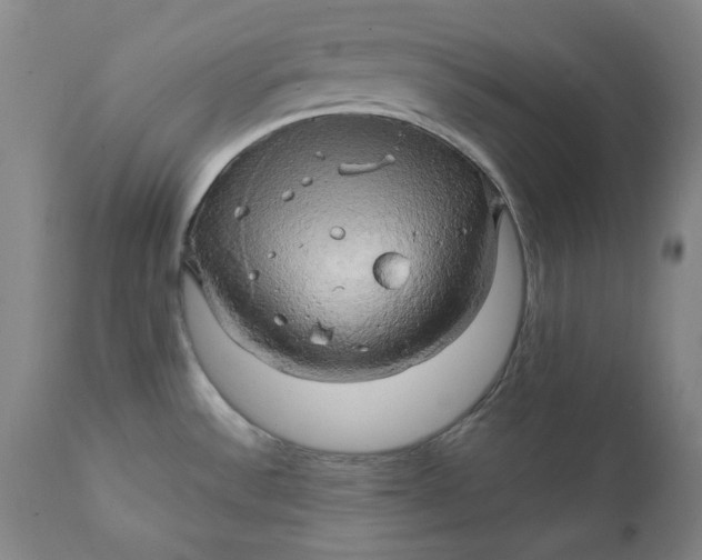 X0000111241532200907161329