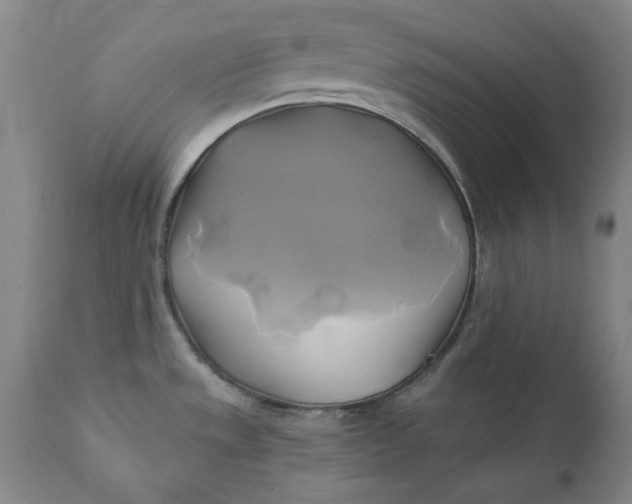 X0000111241533200907161329