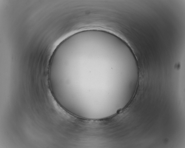 X0000111241534200907161329