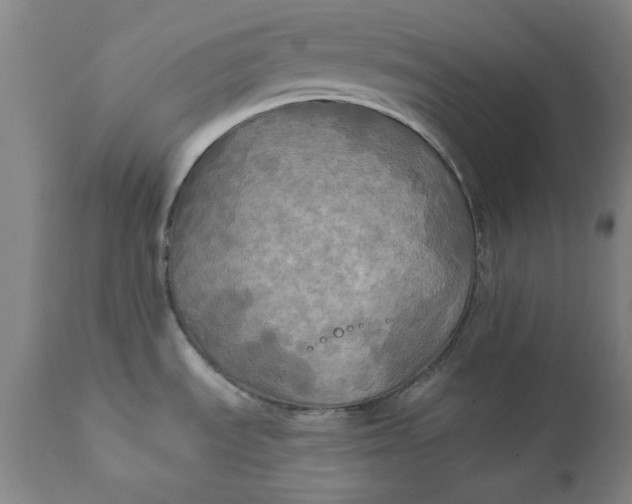 X0000111241535200907161329