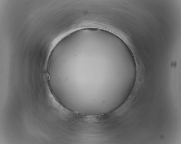 X0000111241536200907161329