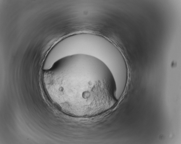 X0000111240001200907231540