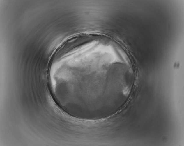 X0000111240002200907231540