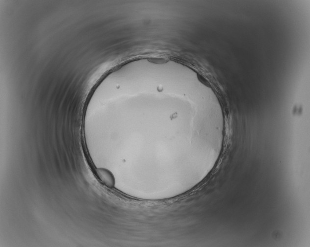 X0000111240003200907231540