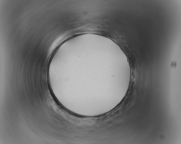 X0000111240004200907231540