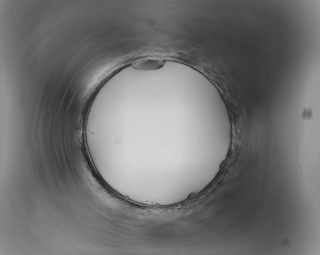 X0000111240005200907231540