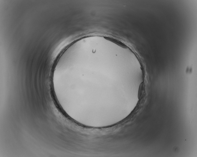 X0000111240007200907231540