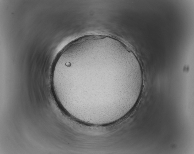 X0000111240008200907231540