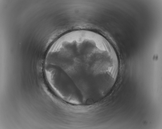 X0000111240010200907231540