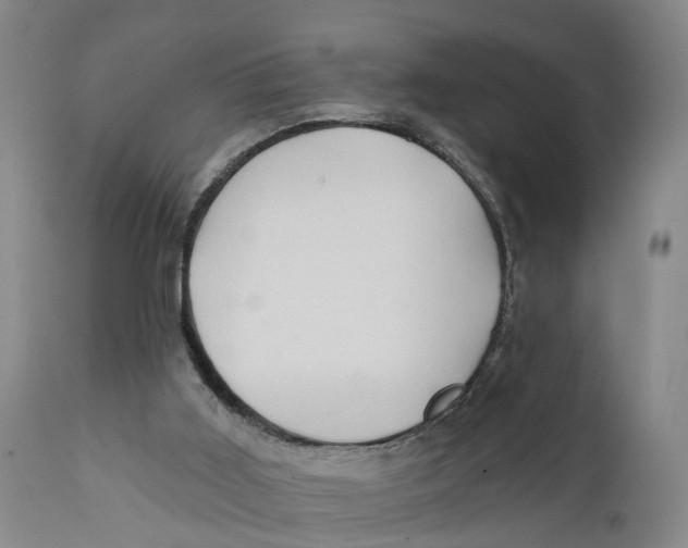 X0000111240011200907231540