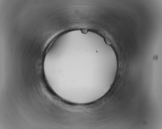 X0000111240012200907231540