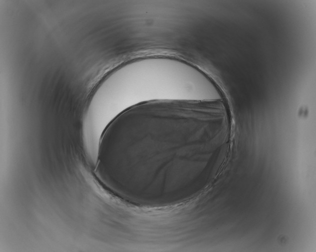 X0000111240013200907231540