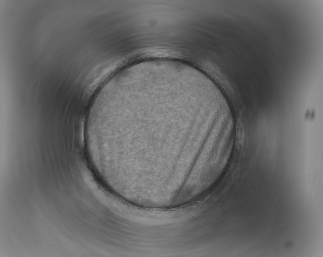 X0000111240014200907231540