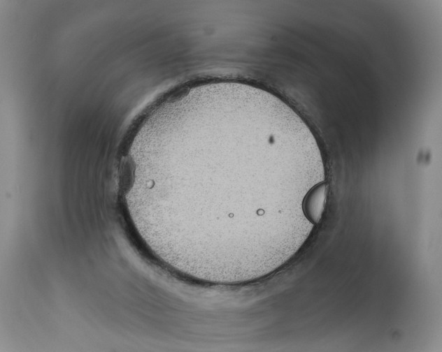 X0000111240016200907231540