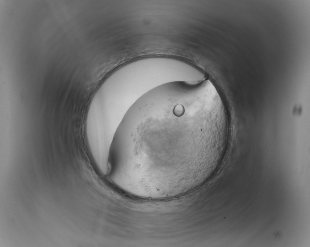 X0000111240017200907231540