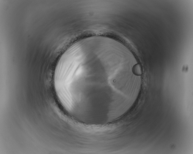 X0000111240018200907231540