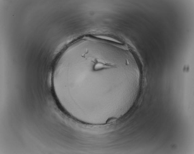 X0000111240019200907231540