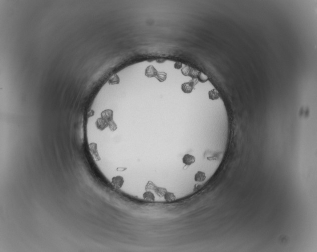 X0000111240020200907231540