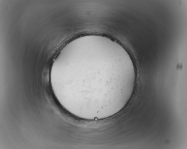 X0000111240021200907231540