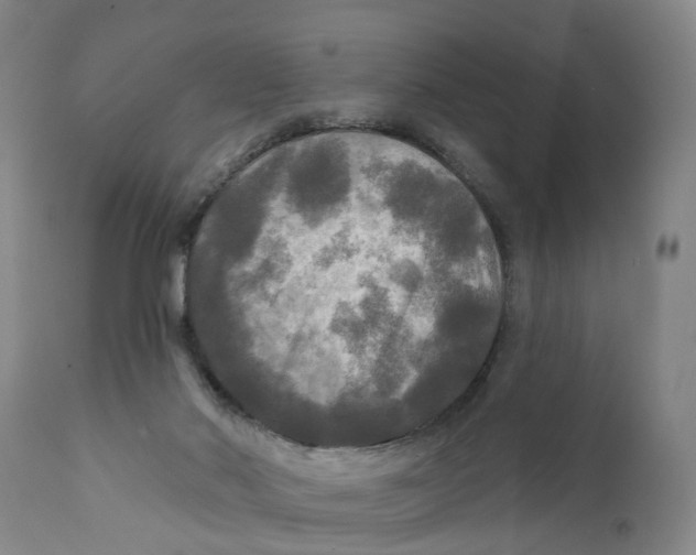 X0000111240022200907231540