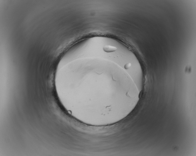 X0000111240023200907231540