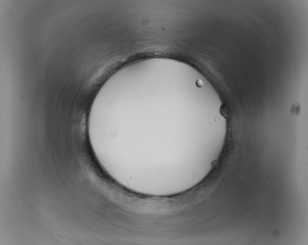 X0000111240024200907231540