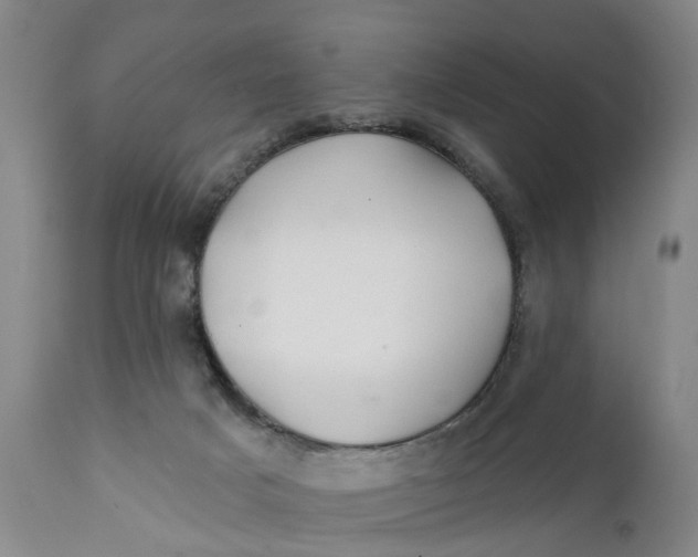 X0000111240025200907231540