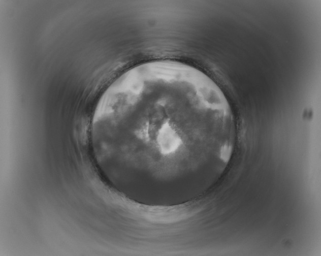 X0000111240026200907231540