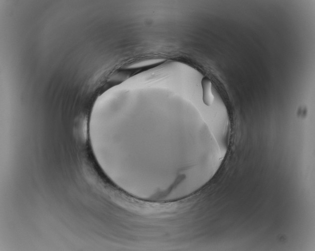 X0000111240027200907231540