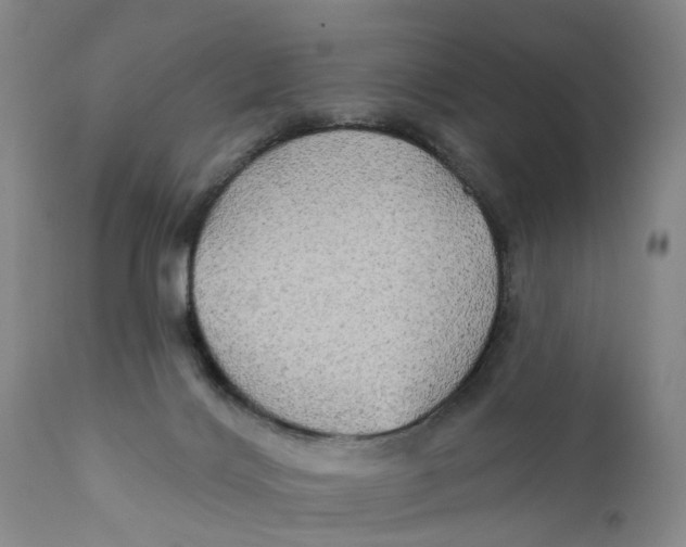 X0000111240028200907231540