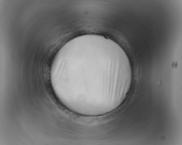 X0000111240029200907231539