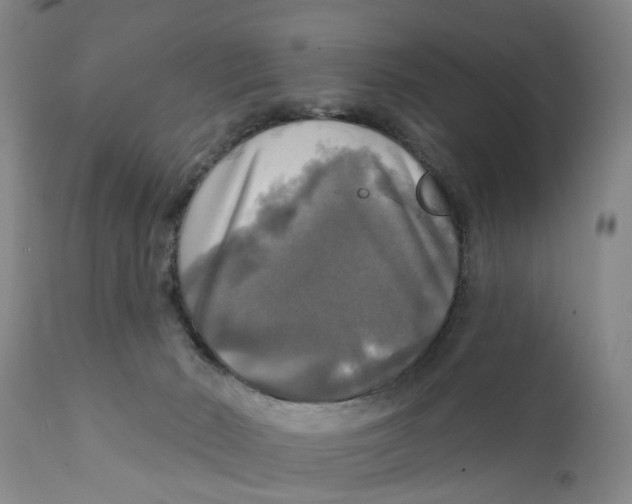 X0000111240030200907231539