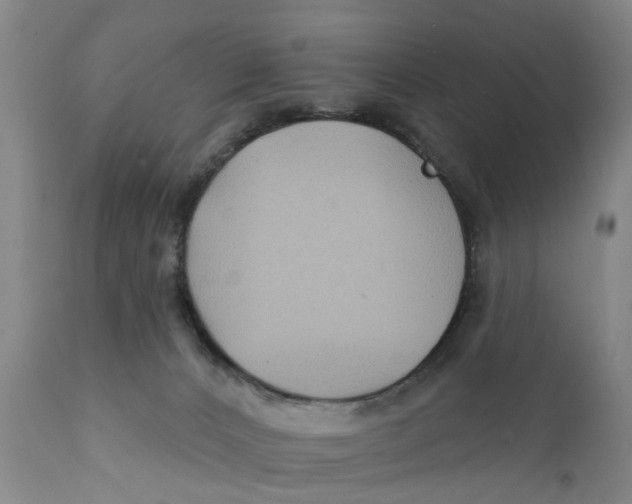 X0000111240032200907231539