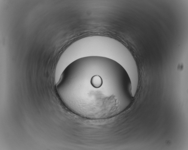 X0000111240033200907231539