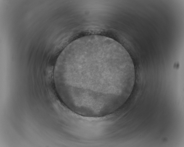 X0000111240034200907231539