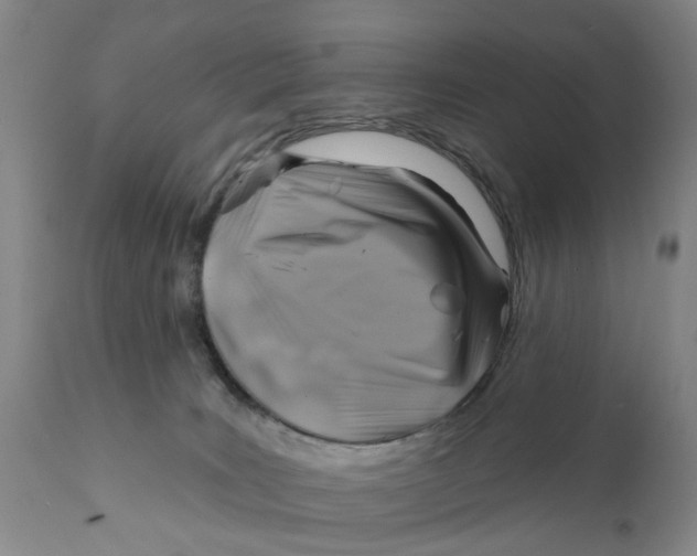 X0000111240035200907231539