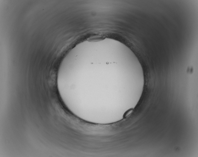 X0000111240036200907231539