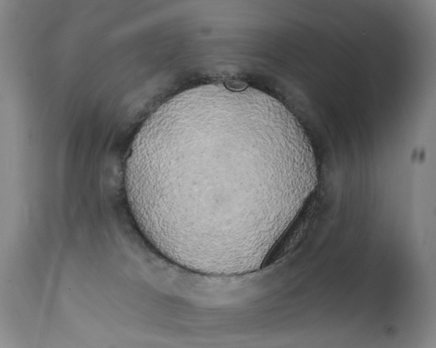 X0000111240037200907231539