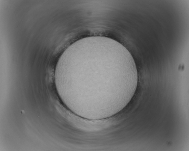 X0000111240038200907231539