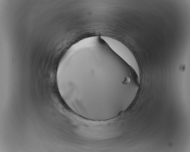 X0000111240039200907231539