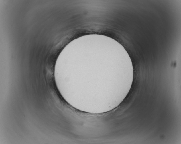 X0000111240040200907231539