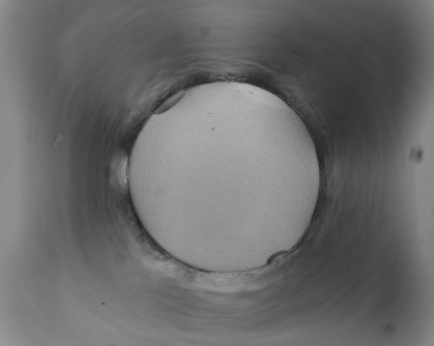 X0000111240041200907231539