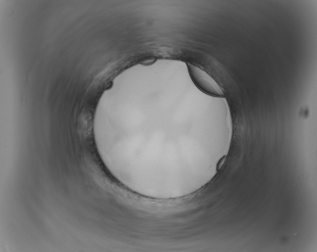 X0000111240043200907231539