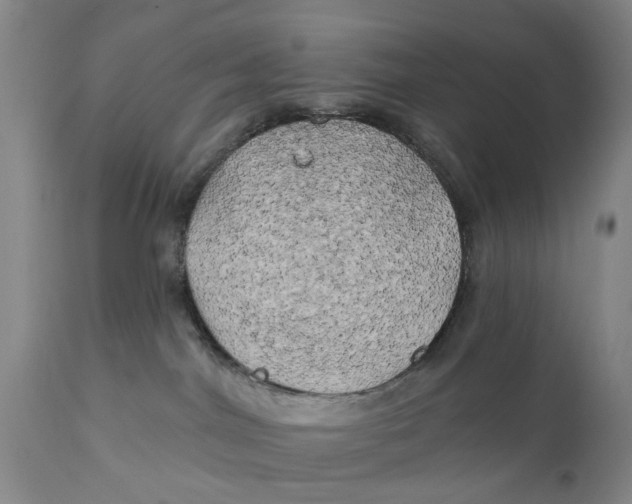 X0000111240044200907231539