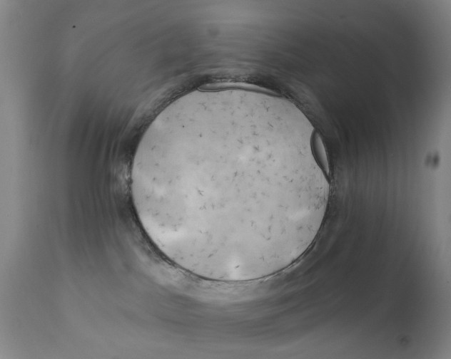 X0000111240045200907231539